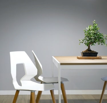chairs and a table with a plant